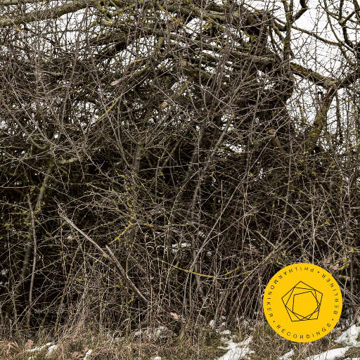 国产三级精品三级在专区中文
